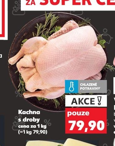 Kachna s droby
