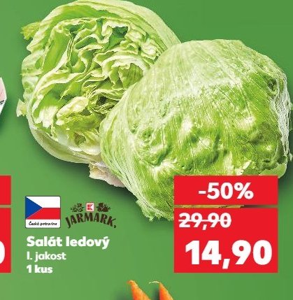 Salát ledový