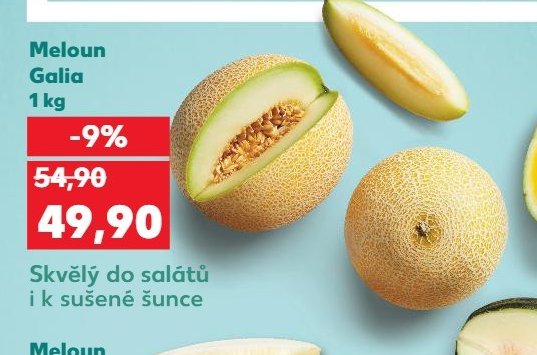 Meloun Galia