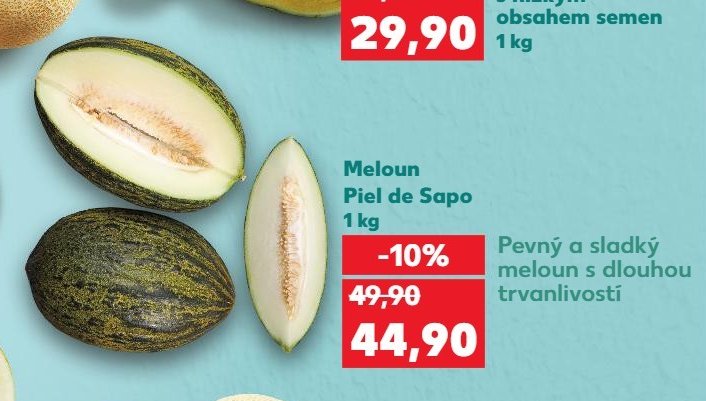 Meloun Piel de Sapo