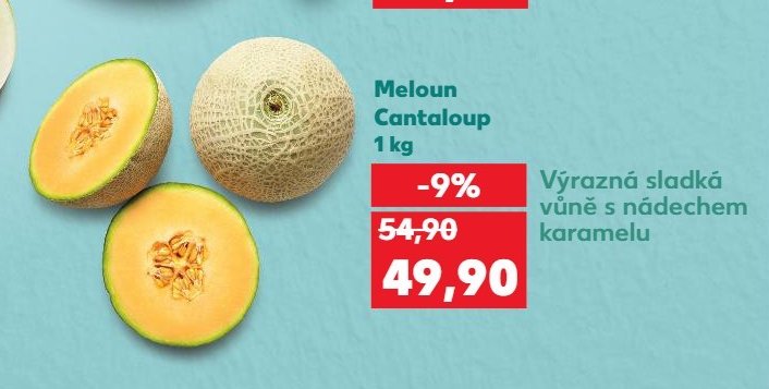 Meloun Cantaloup