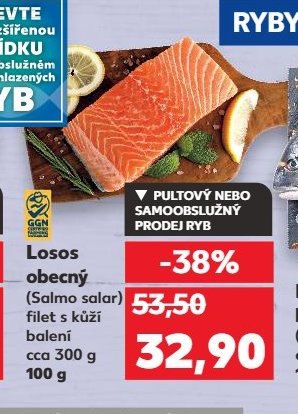 Losos obecný