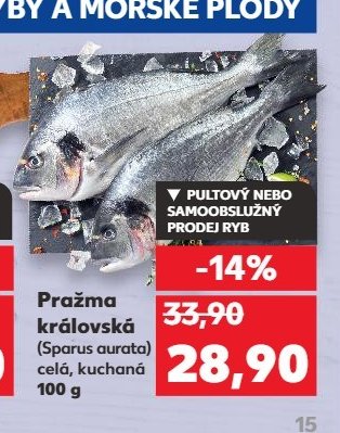 Pražma královská