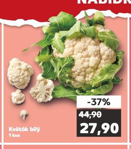 Květák bílý