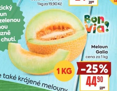 Meloun Galia