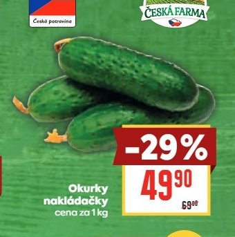 Okurky nakládačky