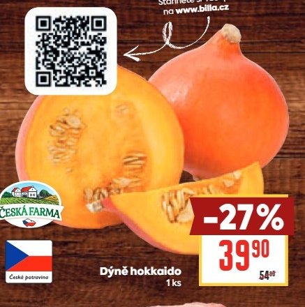 Dýně hokkaido