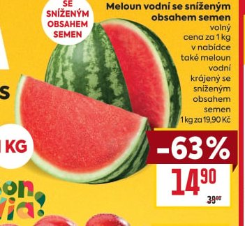 Meloun vodní