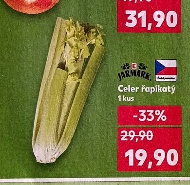 Celer řapíkatý