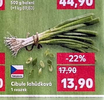 Cibule lahůdková