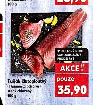 Tuňák žlutoploutvý