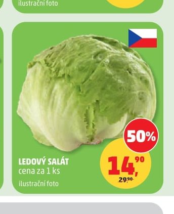 LEDOVÝ SALÁT
