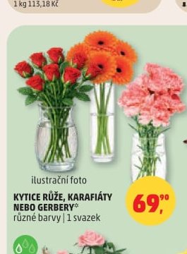 KYTICE RŮŽE, KARAFIÁTY NEBO GERBERY