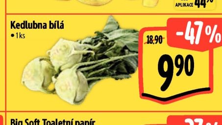 Kedlubna bílá