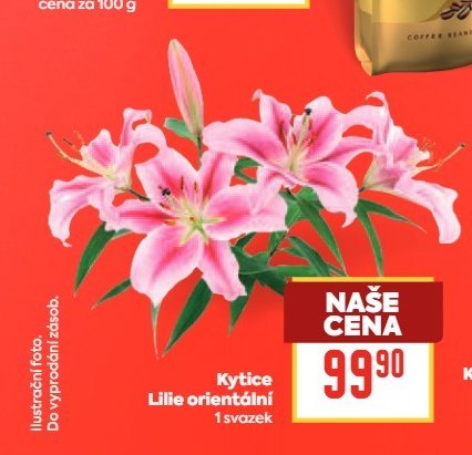 Kytice Lilie orientální