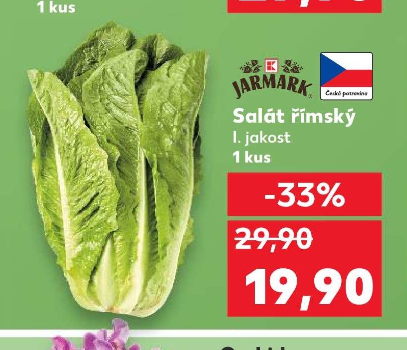 Salát římský 1 kus