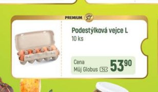Podestýlková vejce L 10 ks