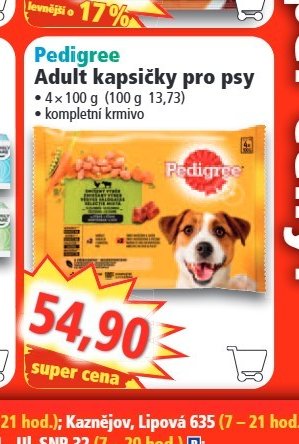 Pedigree Adult kapsičky pro psy