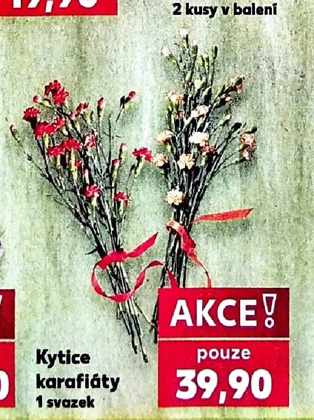 Kytice karafiáty - Kaufland aktualniletaky.eu