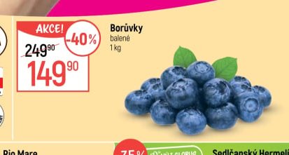 Borůvky - Globus aktualniletaky.eu
