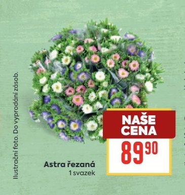 Astra řezaná