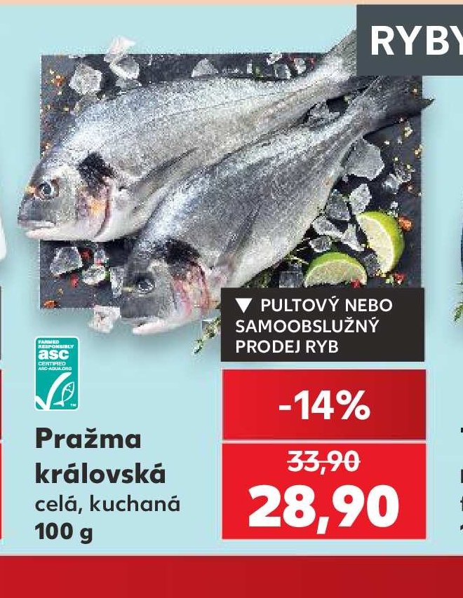 Pražma královská