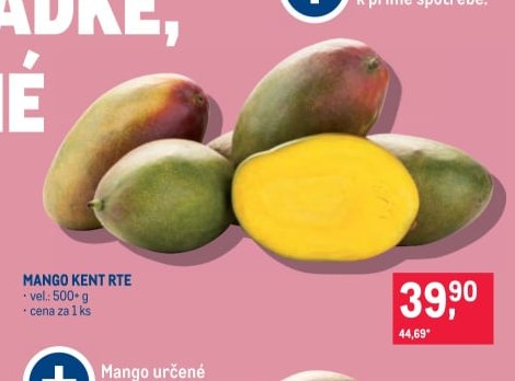 Mango Kent RTE - Makro aktualniletaky.eu