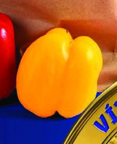 Žlutá paprika