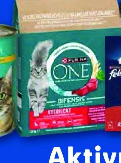 Purina ONE