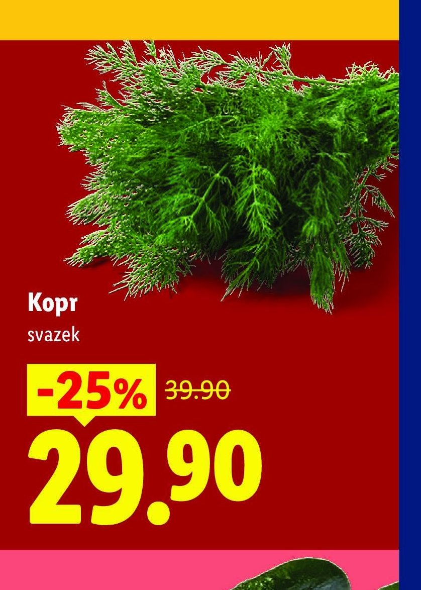 Kopr