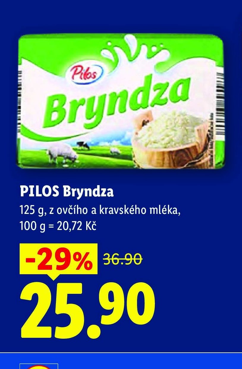 PILOS Bryndza