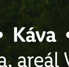 Káva