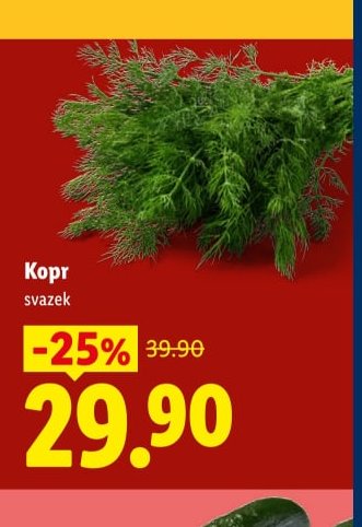 Kopr