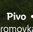 Pivo