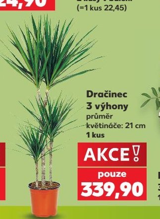 Dračinec - Kaufland aktualniletaky.eu