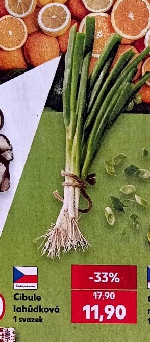 Cibule lahůdková
