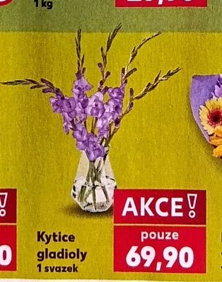 Kytice gladioly