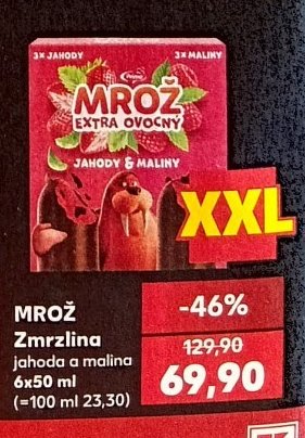 MROŽ Zmrzlina jahoda a malina