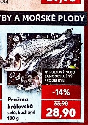 Pražma královská