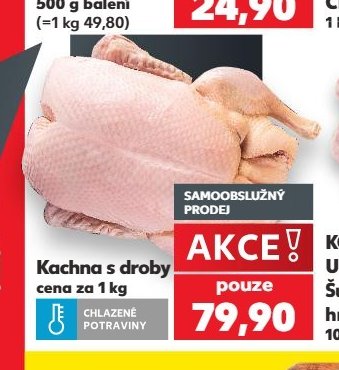 Kachna s droby