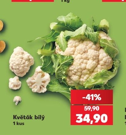 Květák bílý