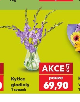 Kytice gladioly