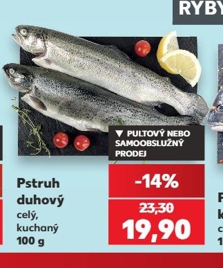 Pstruh duhový