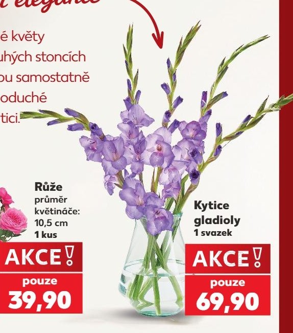 Kytice gladioly