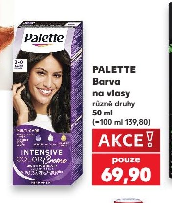 PALETTE Barva na vlasy