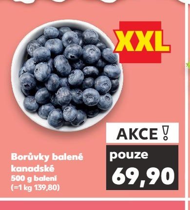Borůvky kanadské