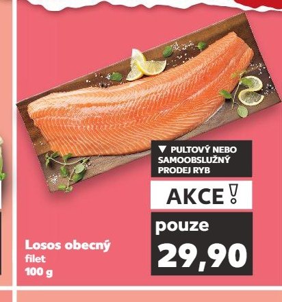 Losos obecný filet