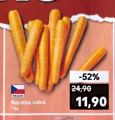 Karotka volně