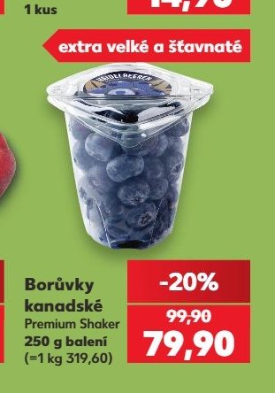 Borůvky kanadské Premium Shaker