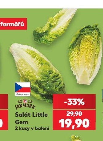 Salát Little Gem